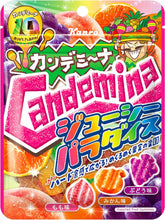 Load image into Gallery viewer, Kanro Candemina Gummy Selection Kanro Candemina Collection