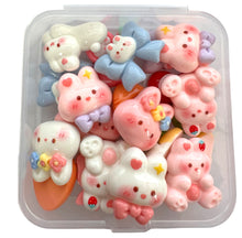 Load image into Gallery viewer, Cute DIY Beads Kit / キュートDIYビーズキット