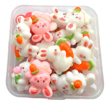 Load image into Gallery viewer, Cute DIY Beads Kit / キュートDIYビーズキット