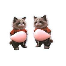 Load image into Gallery viewer, Big Squishy Belly 3D Stickers / 大きくてぷにぷにしたお腹の3Dステッカー
