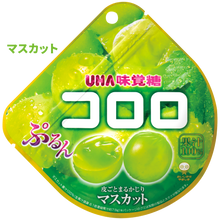 ギャラリービューアに画像を読み込み、UHA Cororo Gummy UHA味覚糖 コロログミ