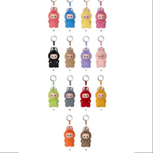 Load image into Gallery viewer, Pin for Love Series Vinyl Plush Pendant Blind Box / Pin for Love / Series Vinyl Plush Pendant