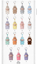 Load image into Gallery viewer, Pin for Love Series Vinyl Plush Pendant Blind Box / Pin for Love / Series Vinyl Plush Pendant