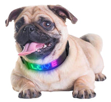 Load image into Gallery viewer, Blinking, Bluetooth Dog Collar, design your own Display for your Dog Collar!