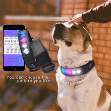 Load image into Gallery viewer, Blinking, Bluetooth Dog Collar, design your own Display for your Dog Collar!