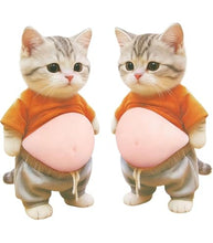 Load image into Gallery viewer, Big Squishy Belly 3D Stickers / 大きくてぷにぷにしたお腹の3Dステッカー
