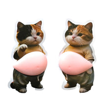 Load image into Gallery viewer, Big Squishy Belly 3D Stickers / 大きくてぷにぷにしたお腹の3Dステッカー
