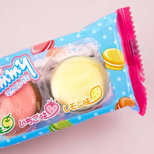 Load image into Gallery viewer, Japanese Macaron Gummy, マカロングミ
