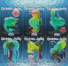 Load image into Gallery viewer, Vidal Ocean Jelly 3D Gummy - Set of 6　ヴィダル　海のなかまたち　グミ　
